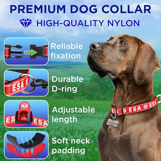 TECEUM Reflective Pet Collar – Red - ESA – XS – Extra Soft Padding – Basic Nylon Dog Collar – Quick Release Buckle – Fits Small, Medium and Large Dogs, Puppies, Cats – ESA & Service Dog Options