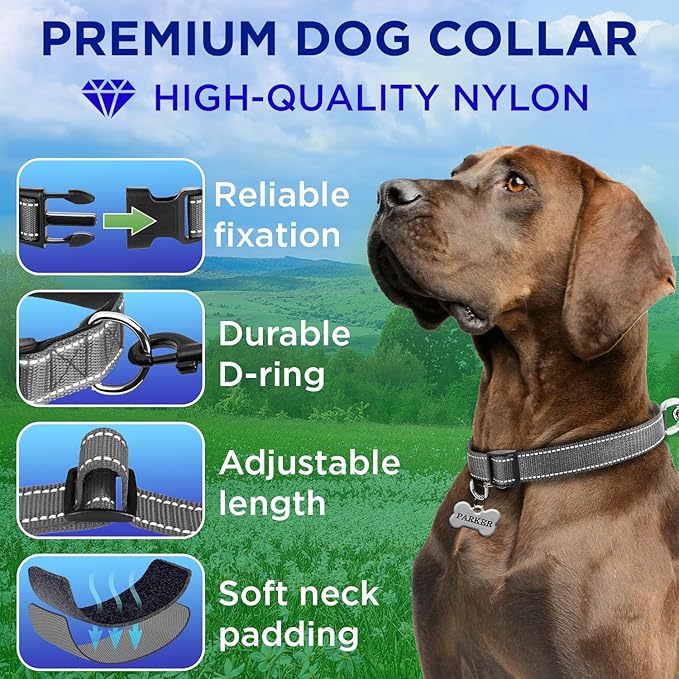 TECEUM Reflective Dog Collar – Gray – XS – Extra Soft Padding – Basic Nylon Pet Collar – Quick Release Buckle – Fits Small, Medium and Large Dogs, Puppies, Cats – ESA & Service Dog Options