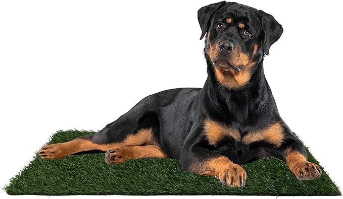 Set of 3 Reusable Pee Pads for Dogs - 41x27in Replacement Artificial Dog Grass - Washable Dog Housebreaking Supplies for Puppy Training by PETMAKER