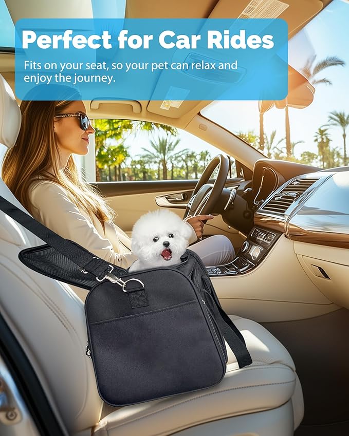 L&W BROS. Airline Approved Cat Carrier - Soft Sided Pet Travel Bag for Cats and Small Dogs Under 16 lbs TSA Approved Pet Carrier in Cabin (Black)