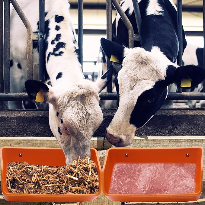 Fence Hanging Chicken Feeder - 4 Pack Feed Trough with Clips for Goat Duck Sheeple Horse Goose, Pig Poultry, Chicken Feeder Bucket Feeding Container for Livestock (Orange)