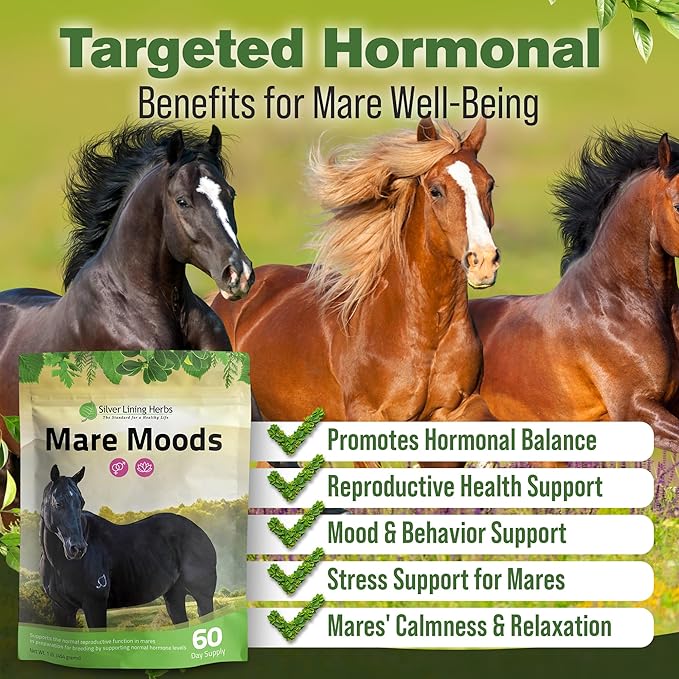 Silver Lining Herbs Mare Moods Horse Calming Supplement - Natural Hormone Balance & Calm for Horses - Herbal Horse Supplements for Mood & Reproductive Support - 1 lb 60-Day