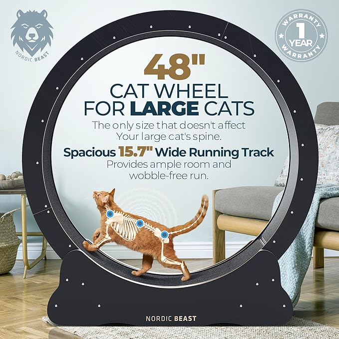 48'' XL Cat Wheel - Cat Wheels for Indoor Cats Which Doesn't Negatively Affect Your Cat's Spine - 15.7'' Extra Wide Cat Treadmill - Fits 2 Cats Side-by-Side, 1-Year Warranty