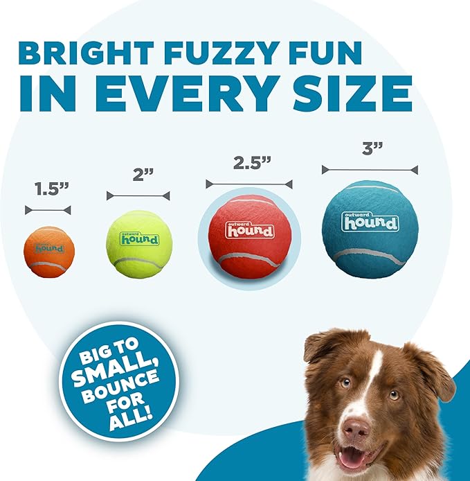 Outward Hound Squeaker Ballz 6-Pack Tennis Ball Dog Toys with Squeaker, Interactive Fetch Play for Pets Under 50 lbs, Training Balls for Indoor & Outdoor Exercise, Medium, 2.5-inch