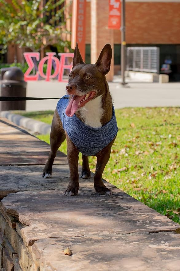 Gooby Zip Up Fleece Dog Sweater - Gray Wash, Small - Warm Pullover Fleece Step-in Dog Jacket with Dual D Ring Leash - Winter Small Dog Sweater - Dog Clothes for Small Dogs Boy and Medium Dogs