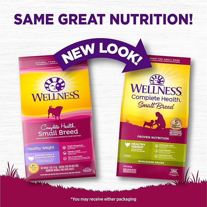 Wellness Complete Health Small Breed Dry Dog Food With Grains, Made In USA with Real Turkey and Natural Ingredients, For Dogs Up To 25 lbs, Healthy Weight, 12 Pound Bag
