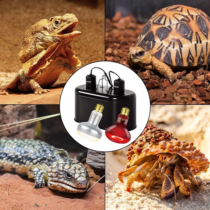 REPTI ZOO Reptile Dual Lamp Fixture Heat Lamp Bulb Combo Pack Includes 100W UVA Daylight Heating Lamp and 100W Infrared Heat Emitter Infrared Basking Spot