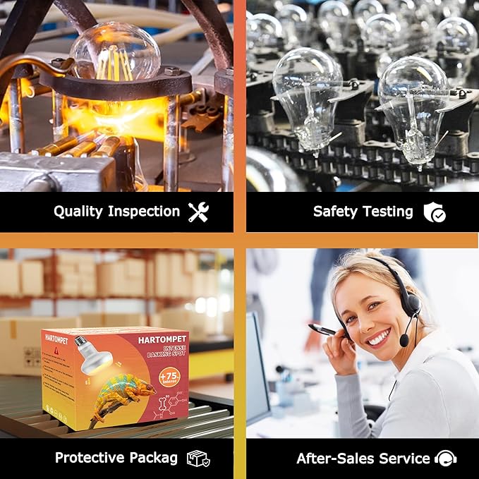 60W Intense Basking Spot Lamp – UVA Daylight Heat Bulb for Reptiles and Amphibians, Simulates Natural Sunrise and Sunset, Ideal for Bearded Dragons, Snakes, Lizards & Chicks | 2 Pack