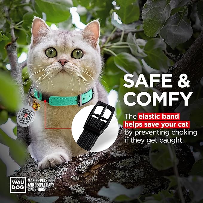 Leather Cat Collar with Bell and Safety Elastic Strap Breakaway Alternative for Small & Large Kittens, Stylish Pet Leather Collar for Boy, Girl Cats with Metal Buckle & QR ID Tag (Mint)