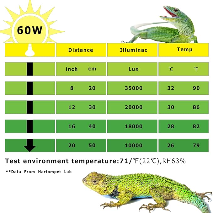60W E26 Reptile Heat Lamp Bulbs, Upgraded UVA Basking Spot Light for Bearded Dragon, Lizard, Tortoise, Chicks & Amphibians - Simulated Natural Sunlight, Daylight Bulb fot Terrarium | 2 Pack