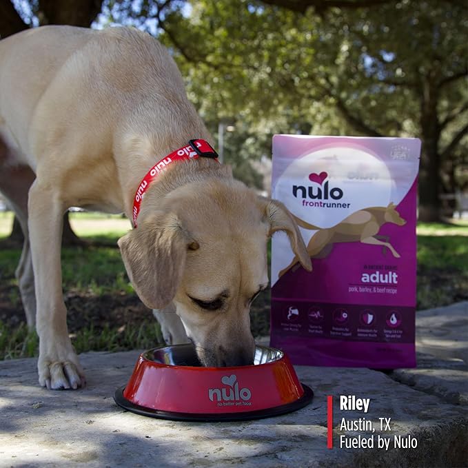 Nulo Frontrunner Ancient Grains High-Protein Dog Food, Pork, Barley, & Beef Recipe- Natural Dry Dog Food with Probiotics, Grain-Inclusive Kibble for Adult Dogs, 25 lb Bag