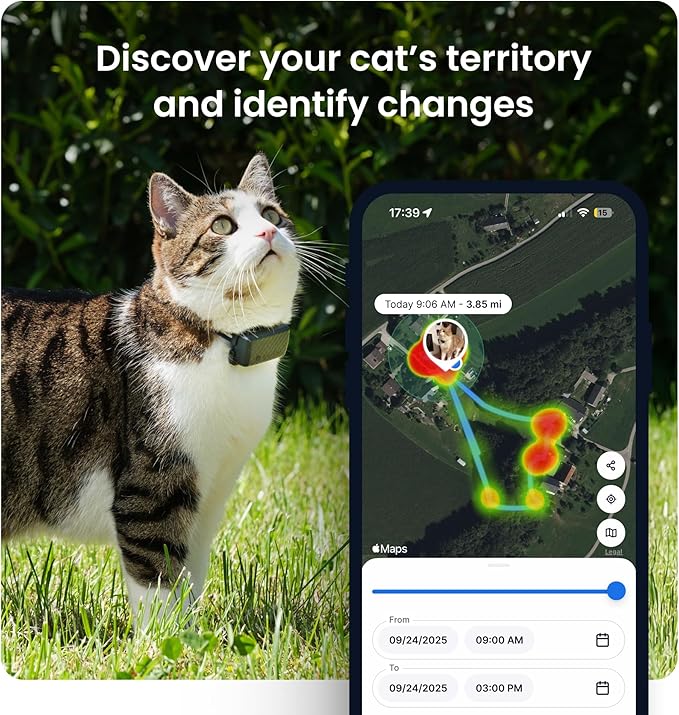 Tractive Smart Cat GPS Tracker | Real-Time Location & Wellness Monitoring for Cats 6.5 lbs+ | Territory & Location History | Up to 5-Day Battery | Breakaway Collar Included (Mint)