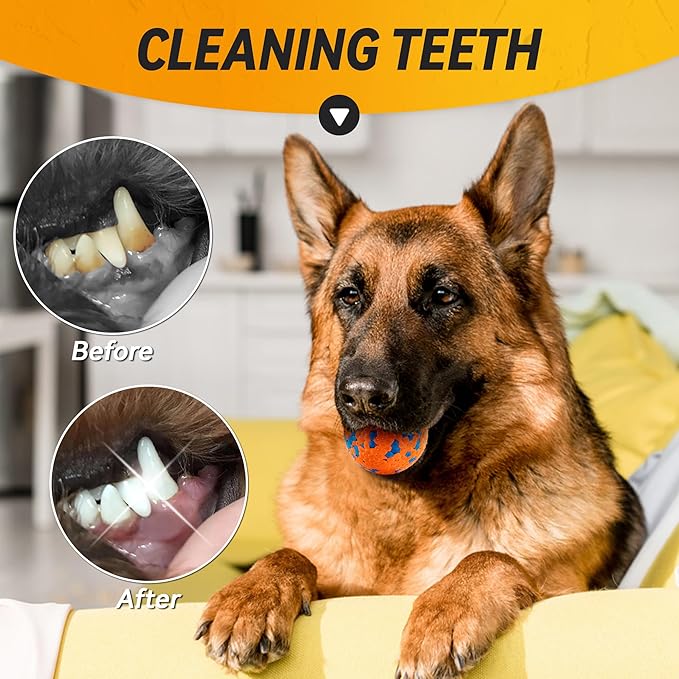 2Pcs Dog Balls, Tennis Balls for Dog Aggressive Chewers, for Large Medium Small Puppy, Training Catch&Fetch, Water Floats Toys, Orange