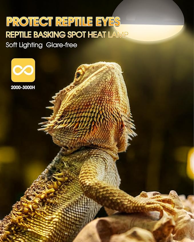 Reptile Heat Lamp, 100W UVA Natural Daylight Heat Lamp Bulbs Basking Spot Lights for Reptiles, 2 Pack Amphibians Terrarium Basking Reptile Light Bulb for Bearded Dragon, Lizard, Turtle, Chicken, Snake