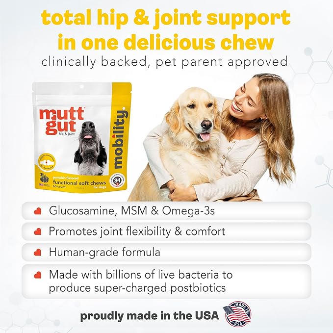 MuttGut® Mobility Chews for Dogs - Glucosamine Chews with MSM, Turmeric & Algae Oil Powder - Joint Support & Hip Health Supplement for Dogs - Vet Recommended, cGMP Certified - 60 Soft Chews