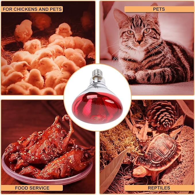 250W Red Heat Lamp Bulbs for Chicken, 2Pack Infrared Heat Lamp for Coop Brooder, Heat Lamps for Chicks, Reptile, Amphibian, Pets