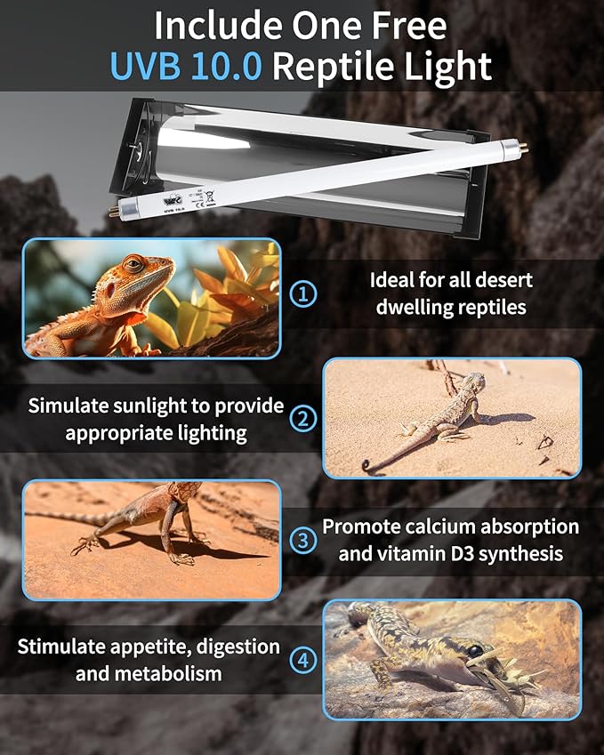 LUCKY HERP T5 Reptile Light Fixture Combo Kit 8W (New Upgrade), Desert UVB 10.0 12" Fluorescent Tube UVA UVB Reptile Light for Lizard, Bearded Dragon, Tortoise