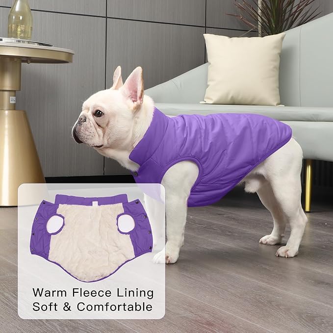 2 Layers Fleece Lined Warm Dog Jacket for Winter Cold Weather,Soft Windproof Medium Dog Coat,Purple XL