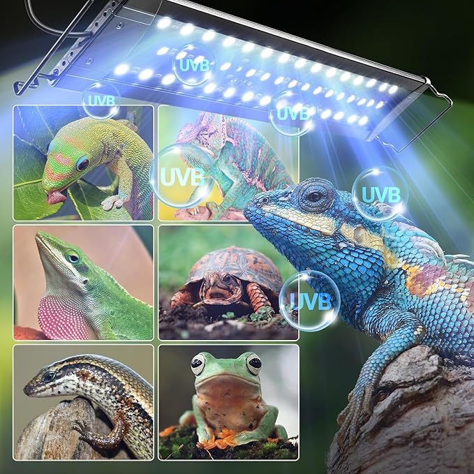 REPTI ZOO UVB Light for Reptile 10.0, 18 inch UVB Reptile Light Bulb with Dimming for Desert Animal Bearded Dragon Snake Gecko Lizard Iguanas Turtles Chameleons, LED Lamp Fixture Controller (12W)