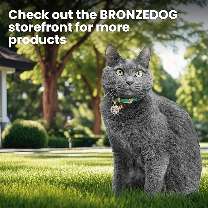 BRONZEDOG Leather Cat Collar with Removable Bells Non Breakaway Kitten QR Tag for Girl Boy (7" - 9" for Cats, Green & Gold)