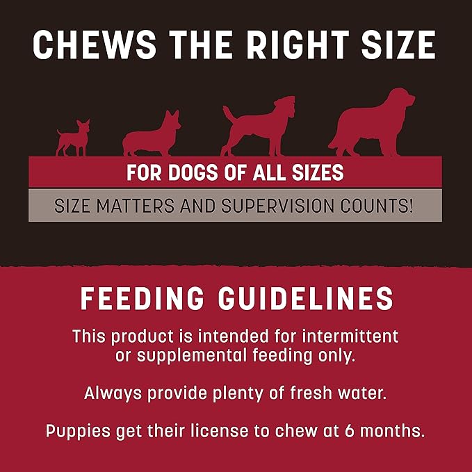 Earth Animal No Hide Strips Beef Flavored Natural Treats | No Rawhide | Quick & Thin Dog Chews - 4 Count