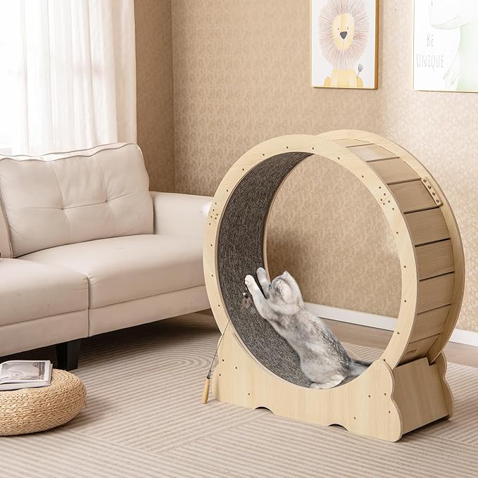 PETSITE 40 Inch Cat Exercise Wheel for Indoor Cats, Low Noise Cat Treadmill with Locking Mechanism, Carpeted Runway, and Teasing Toy