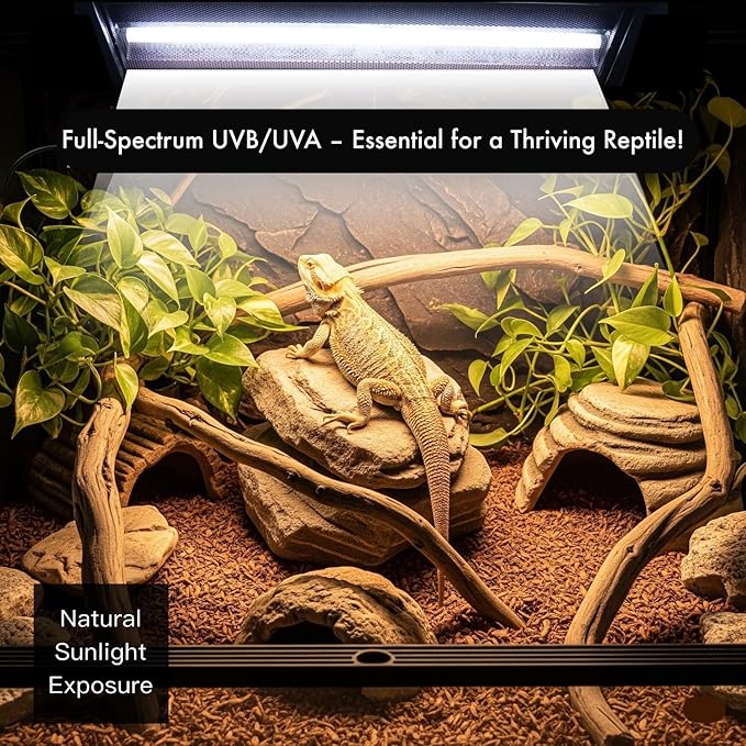 T5 HO UVB Reptile Light Kit – High-Output 24W 10.0 UVB for Reptiles – Liner UVB Light Ideal for Bearded Dragons, Tortoise & Lizard, T5 UVB Light Fixture and Bulb