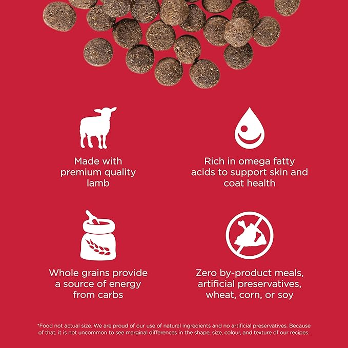 Go! Solutions Skin + Coat Care, Dry Dog Food, Lamb Recipe with Grains, 3.5 lb Bag