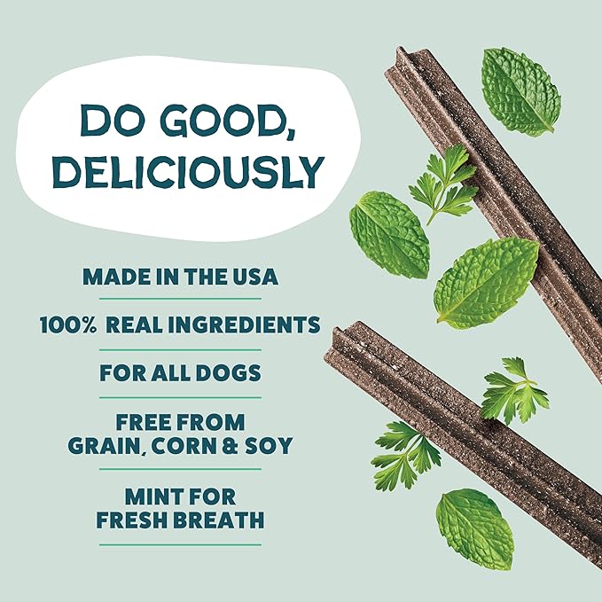 Shameless Pets Dental Chews for Dogs, Mighty Mint Dental Sticks, Healthy Treats for Teeth Cleaning & Fresh Breath - Dog Bones Dental Chews Free from Grain Corn & Soy, 8 Sticks
