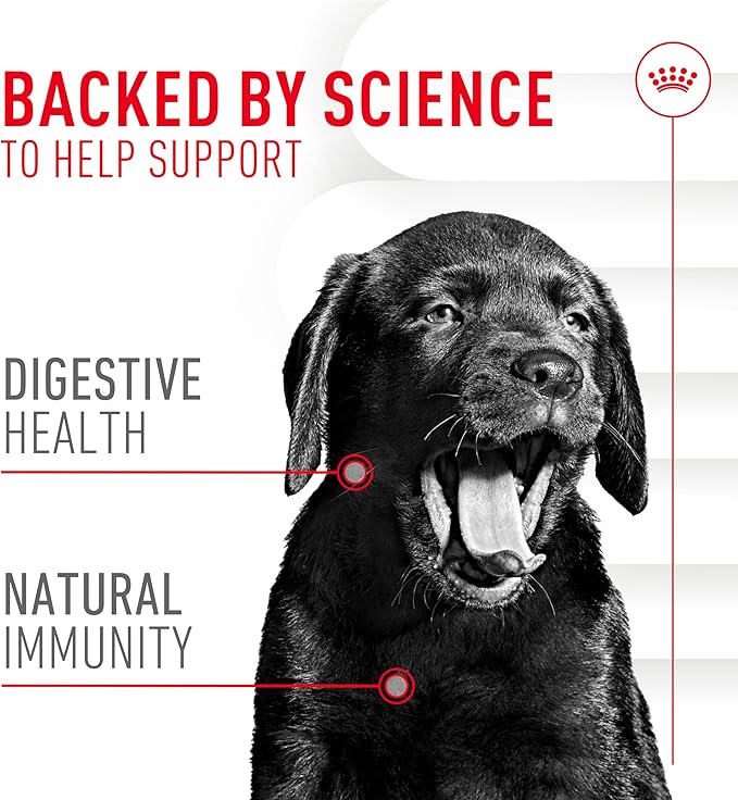 Royal Canin Puppy Supplement Immunity & Digestion Chew Pouch 5.29 oz (60 Count)
