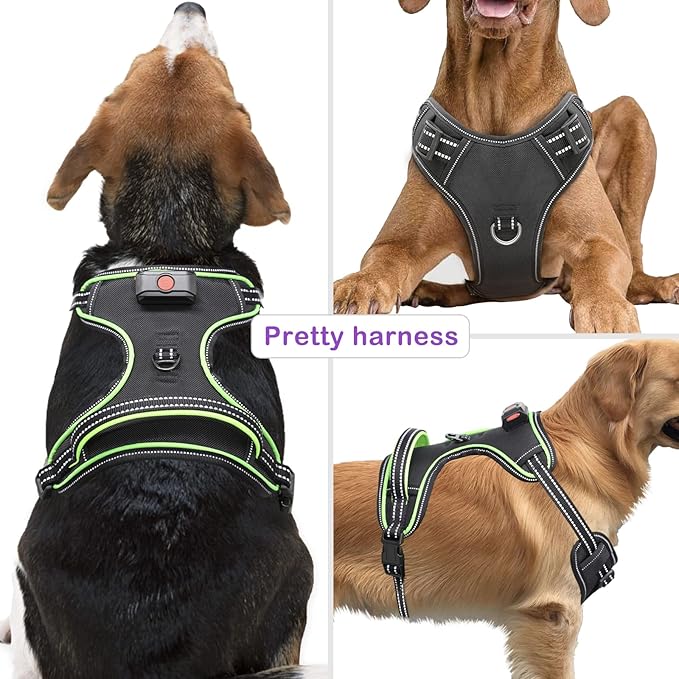 Light Up Dog Harness, No Pull LED Dog Harness with Handle, Rechargeable Lighted Safety Vest for Small Medium Large Dogs, Adjustable Soft Dog Lights for Night Walking