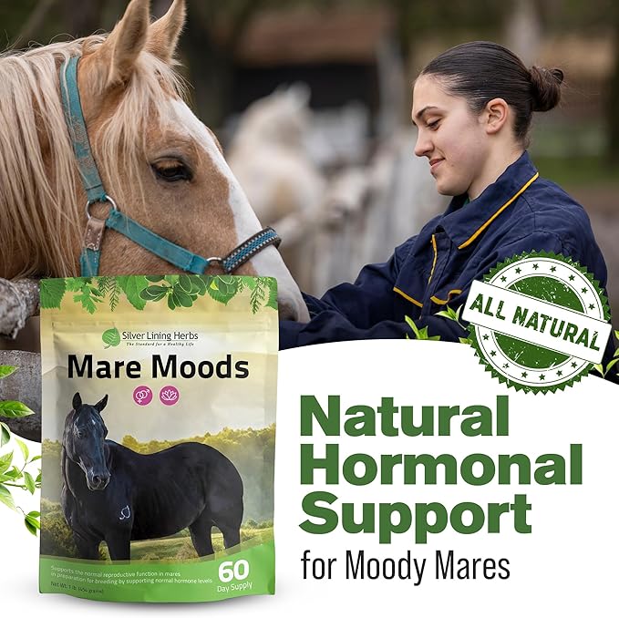 Silver Lining Herbs Mare Moods Horse Calming Supplement - Natural Hormone Balance & Calm for Horses - Herbal Horse Supplements for Mood & Reproductive Support - 1 lb 60-Day