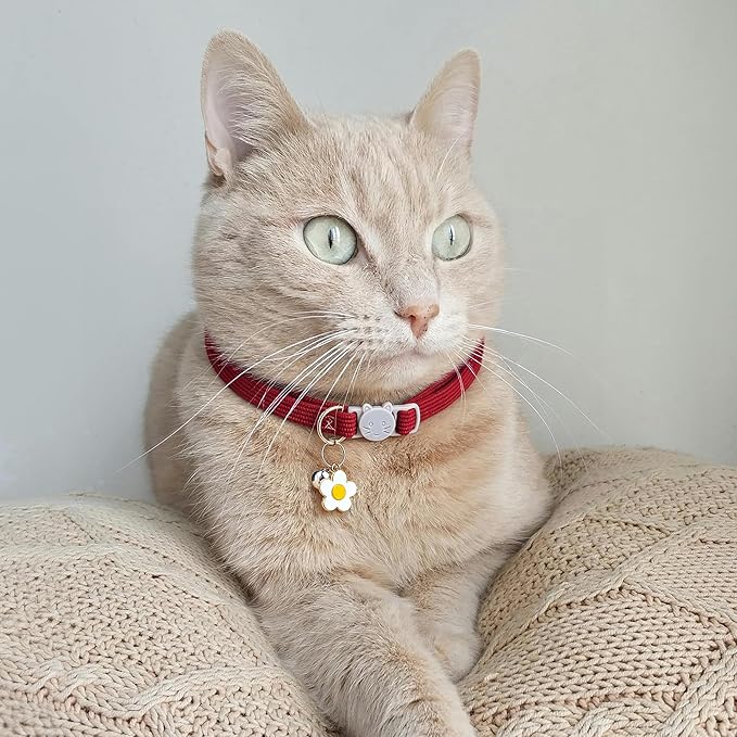 2 Pack Cat Collar with Bells, Corduroy Adjustable Kitten Collars with Breakaway Safety Buckle for Boy Girl Cats-Green Red