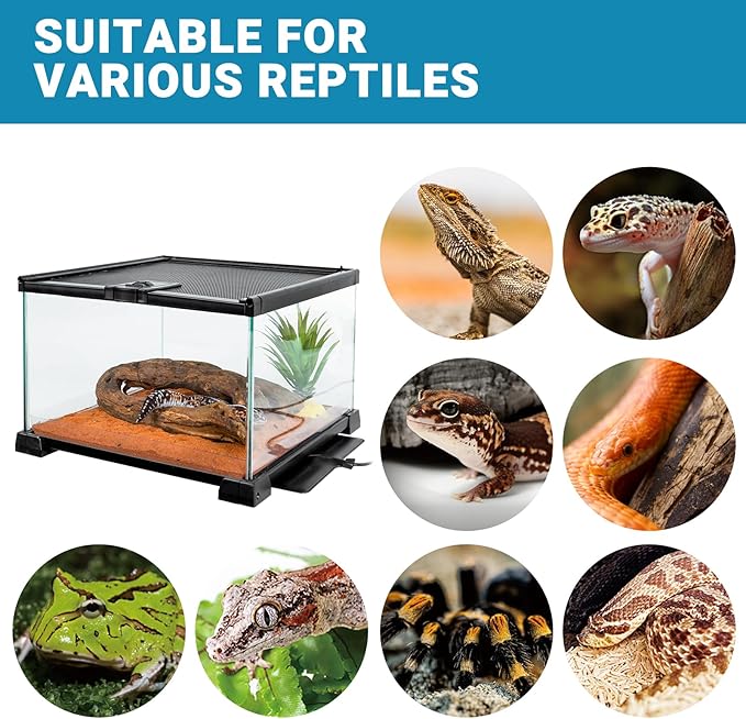 Reptile Heat Pad with Dimming Thermostat, 8" X 12" 16W Heating Pad Combo Set for 30-40 Gallon Reptile Tank, Under Tank Heater for Reptiles, Turtle, Snake, Lizard, Hermit Crab, Frogs, Seed