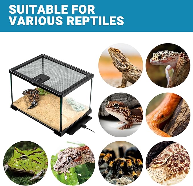 Reptile Heat Pad with Dimming Thermostat, 6" X 8" 8W Heating Pad Combo Set for 10-20 Gallon Reptile Tank, Under Tank Heater for Reptiles, Turtle, Snake, Lizard, Hermit Crab, Frogs, Seed