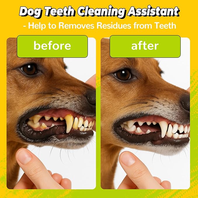 YALAVA Dog Rope Toys for Aggressive Chewers, 20 Inch 2 Pack Heavy Duty Chew Toys for Teeth Cleaning, Cotton Rope Dog Tug Toy for Medium to Large Breed