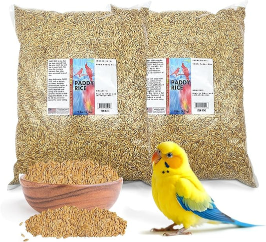 Morning Bird Paddy Rice Bird Seed for Optimal Health & Nutritious Pet Bird Food – Supports Feathers & Immunity – Ideal for All Seed Eating Birds.18 lbs (2-Pack, 9 lbs Each)