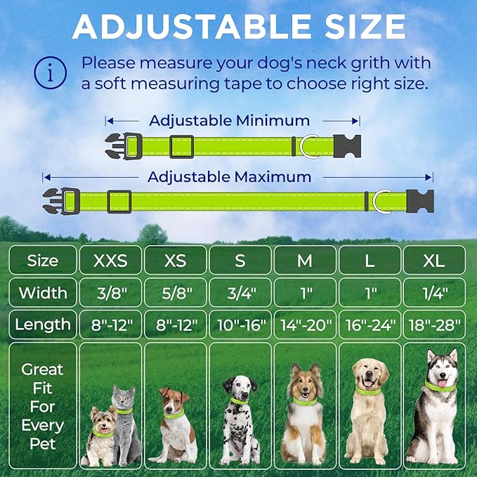 TECEUM Reflective Dog Collar – Acid Green – L – Extra Soft Padding – Basic Nylon Pet Collar – Quick Release Buckle – Fits Small, Medium and Large Dogs, Puppies, Cats – ESA & Service Dog Options