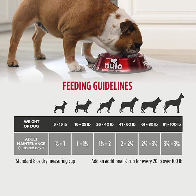 Nulo Freestyle All Breed Senior Dry Dog Food, Premium Grain-Free Dog Kibble with Healthy Digestive Aid BC30 Probiotic and Chondroitin Sulfate for Hip & Joint Support 26 Pound (Pack of 1)
