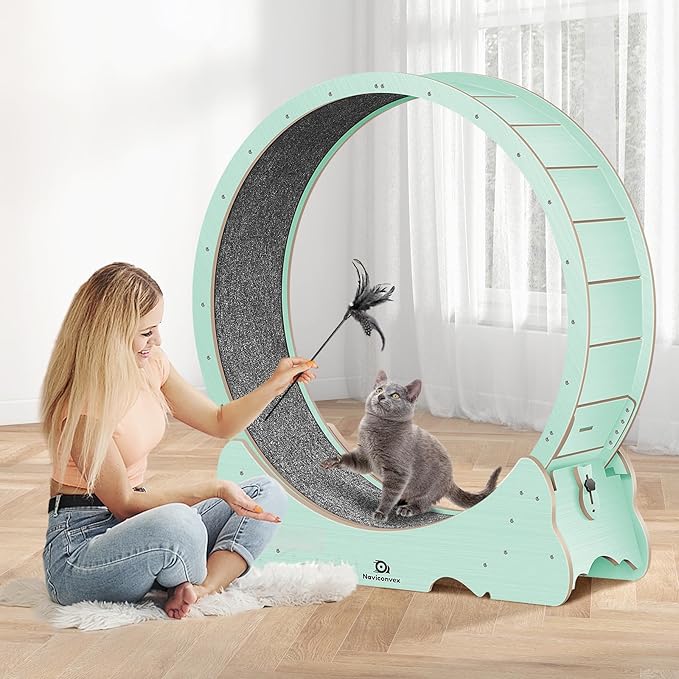 Cat Wheel, 48" XL Large Cats Exercise Running Wheel, Cat Treadmill for Indoor Cats, Green