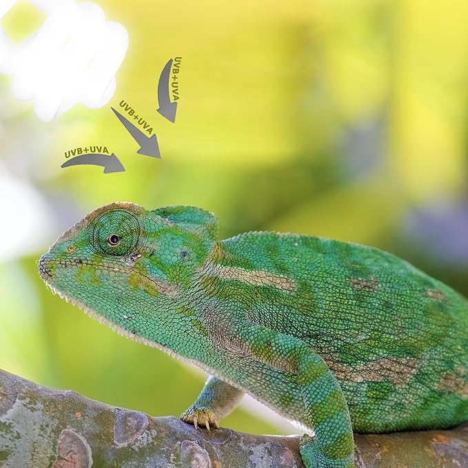 UVB 5.0 Reptile Light 13W, Tropical Terrarium Compact Fluorescent Lamp, Coil UVA-UVB Bulbs for Chameleons, Lizard, Turtle,Ideal Lighting for Small Reptile Tanks, Amphibians Terrarium Habitat