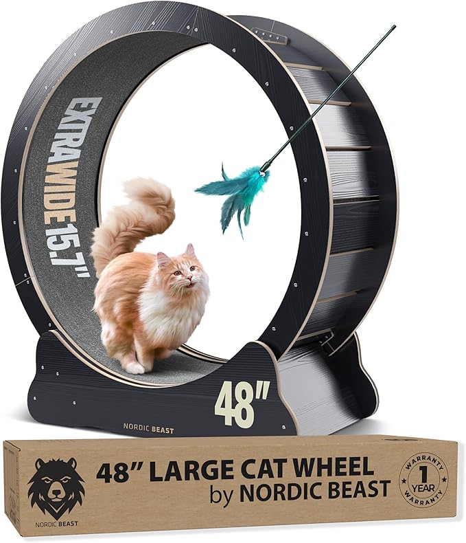 48'' XL Cat Wheel - Cat Wheels for Indoor Cats Which Doesn't Negatively Affect Your Cat's Spine - 15.7'' Extra Wide Cat Treadmill - Fits 2 Cats Side-by-Side, 1-Year Warranty