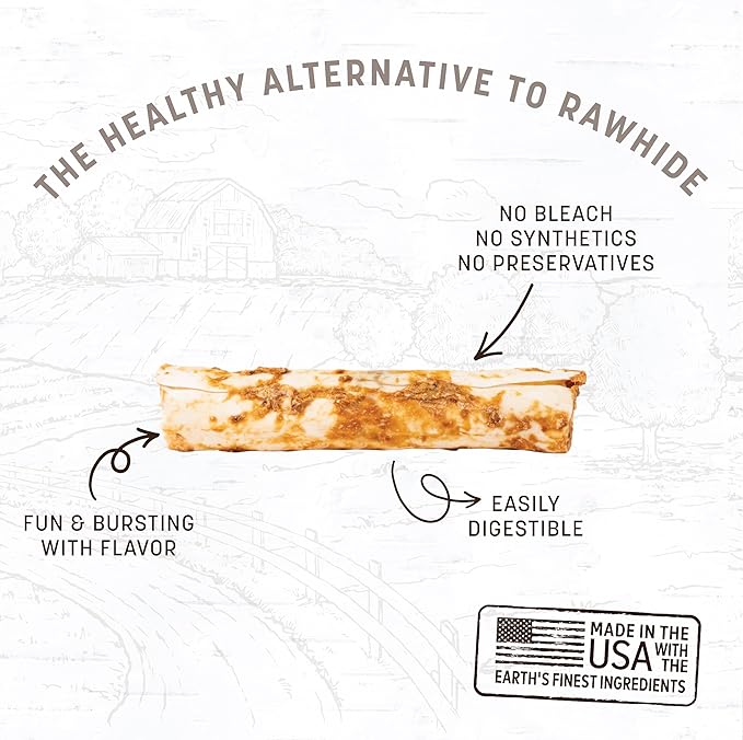 Earth Animal No Hide Medium Salmon Flavored Natural Rawhide Free Dog Chews Long Lasting Chew Sticks | Treats for Large Dogs | Great for Aggressive Chewers - 6 Count