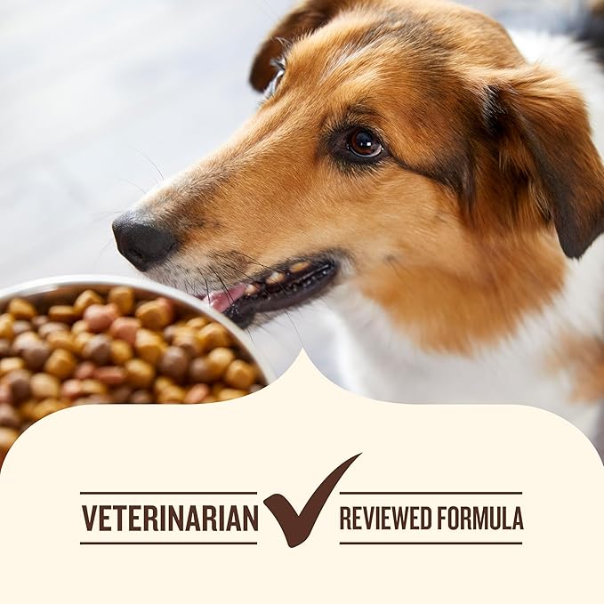 Nutrish Grain Free Dry Dog Food, Salmon & Sweet Potato Recipe, 23 lb. Bag (Rachael Ray)