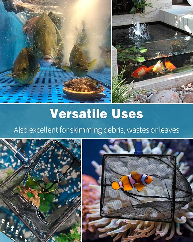 Pawfly Aquarium Fish Net with Extendable 9-24 Inch Long Handle for Betta Fish Tank Small Koi Pond and Pool