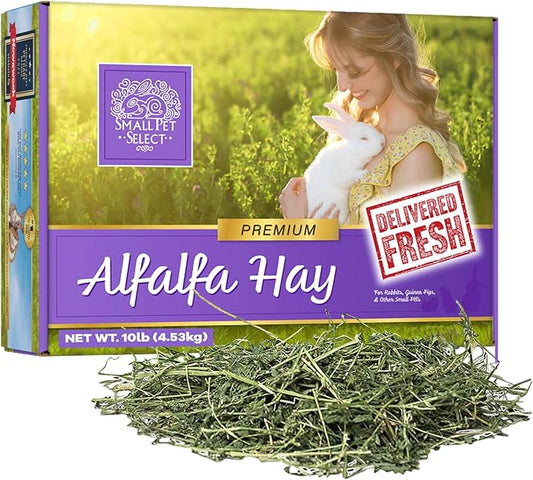 Small Pet Select Alfalfa Hay Pet Food for Young Rabbits, Guinea Pigs, Chinchillas, Tortoises and Other Small Animals, Easy to Store Box, 10 LB