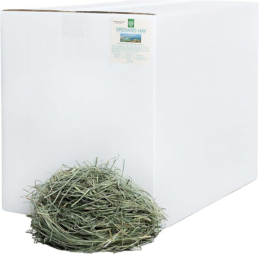 Small Pet Select Orchard Hay, Grass for Rabbit, Guinea Pig, Bunny, Chinchilla and Other Small Animals, Premium Natural Hay Grown in The US, Pet Food, 40 lb