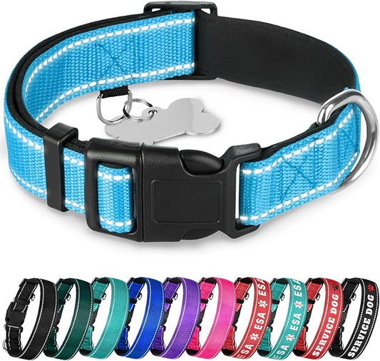 TECEUM Reflective Dog Collar – Sky Blue – M – Extra Soft Padding – Basic Nylon Pet Collar – Quick Release Buckle – Fits Small, Medium and Large Dogs, Puppies, Cats – ESA & Service Dog Options