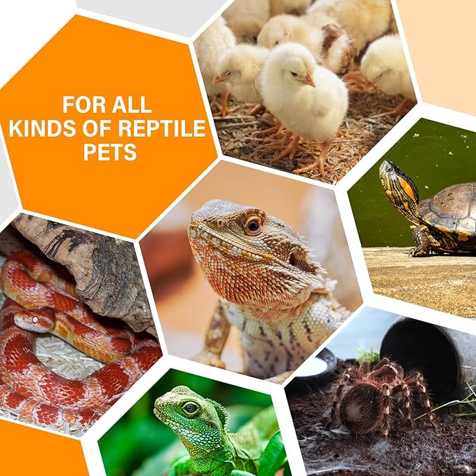 2 Pack 75W Reptile Heat Lamp Bulb Ceramic Heat Emitter for Reptiles,Chicken, Dog, Cat,Pet Brooder Coop No Light Emitting Heat Lamp for Amphibian Pet Bearded Dragon Turtle Snake, Lizard