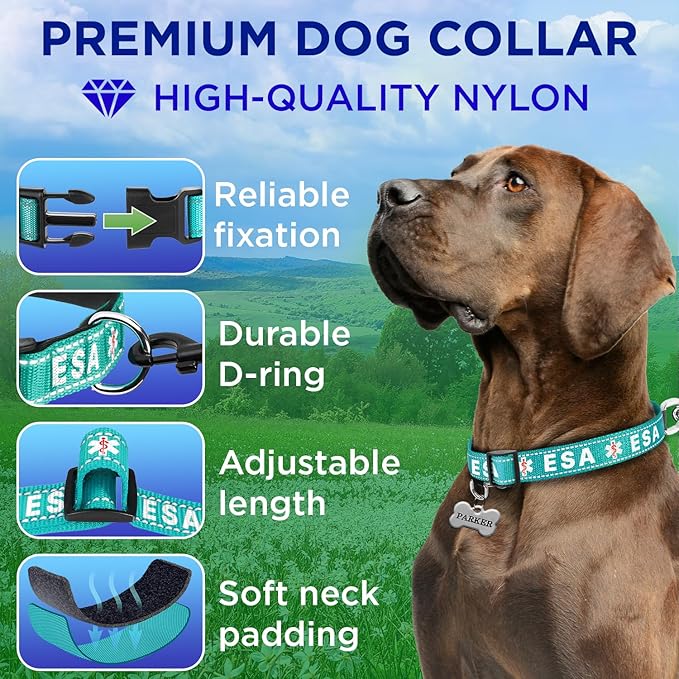 TECEUM Reflective Pet Collar – Teal - ESA – XS – Extra Soft Padding – Basic Nylon Dog Collar – Quick Release Buckle – Fits Small, Medium and Large Dogs, Puppies, Cats – ESA & Service Dog Options